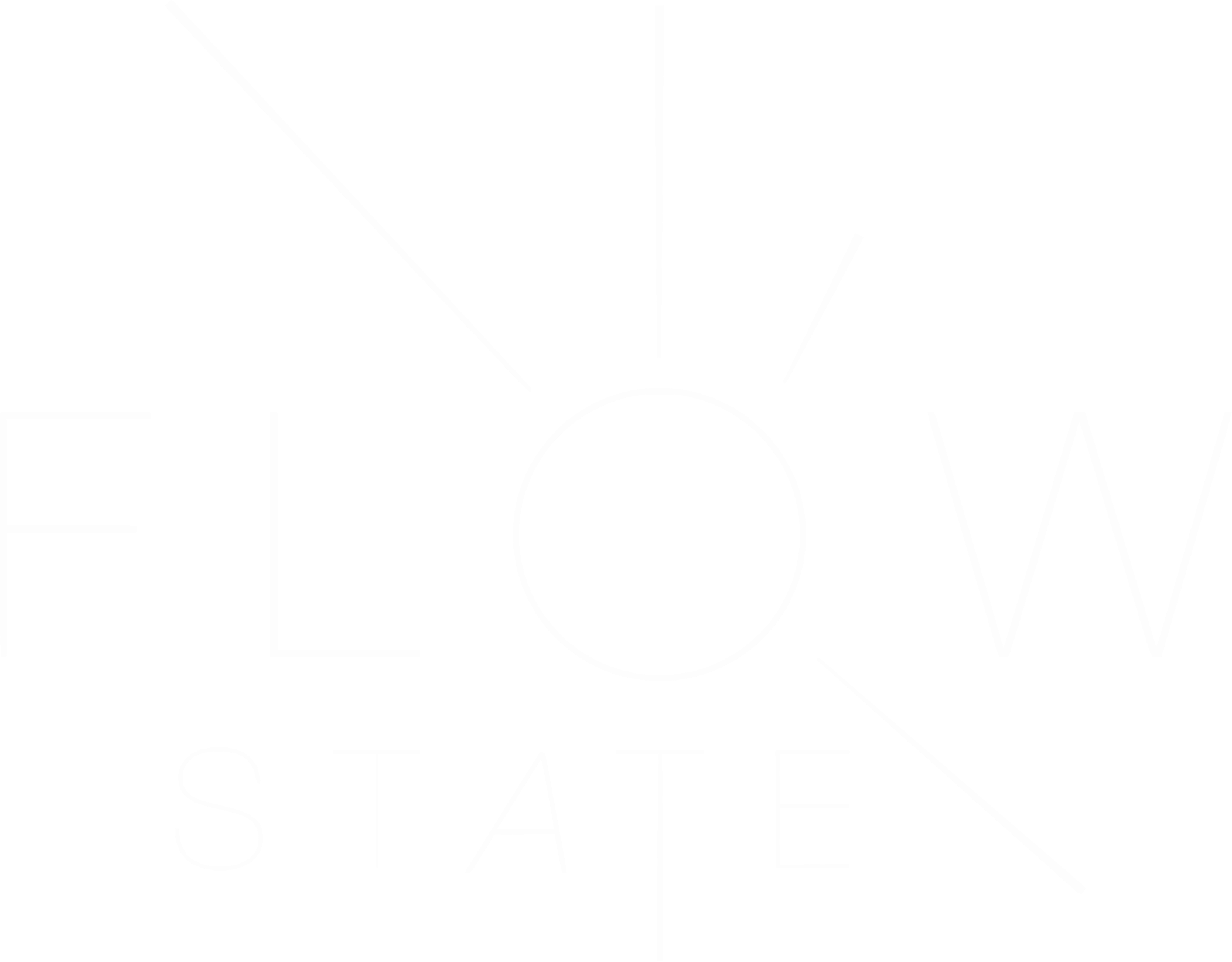FlowState